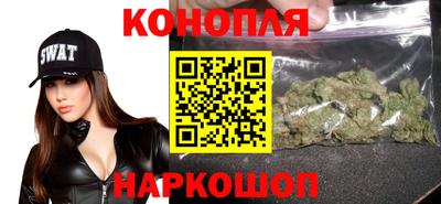 прущие грибы Можга