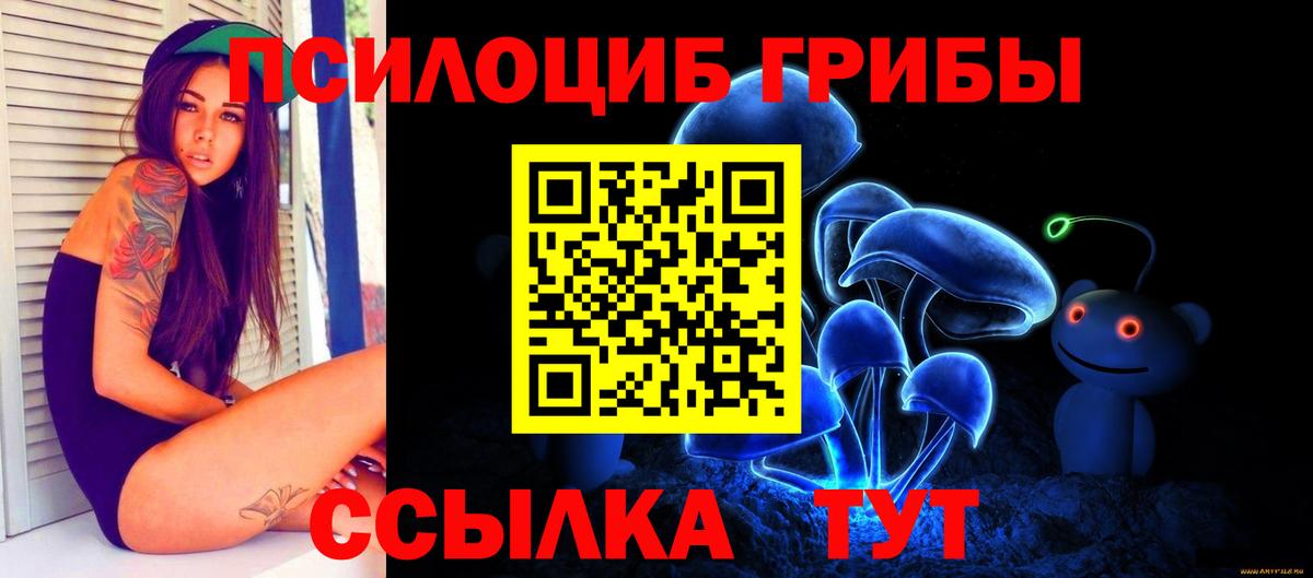 Псилоцибиновые грибы мицелий Батайск