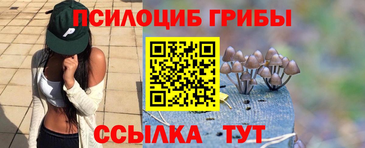 Галлюциногенные грибы GOLDEN TEACHER  Вход с VPN  Батайск  Псилоцибиновые грибы Magic Shrooms 